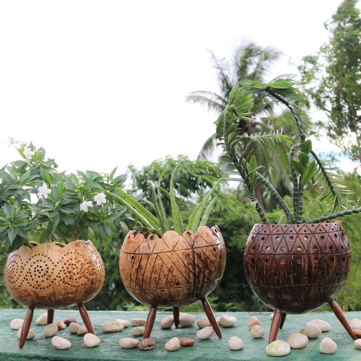 Coconut%20Shell%20Planter%20-%20Image%209