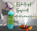 🌿သဘာဝ အာမခံ ခြနှင့်ကြမ်းပိုးပြေး ဖြန်းဆေးရည် 🐜🚫🪳NC Herbal Strategi Termite and bed bug Repellent Spray - Natural, Vegan & Eco-Friendly | 100% Herbal and Chemical free | Baby and Pet safe. 