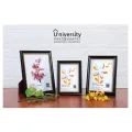 Quality Frames for Precious Memories, 5x7 Size Photo Frame, UC 312 (black). 