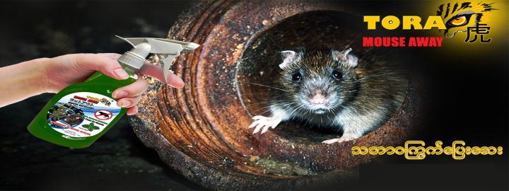 Anti%20Mouse%20Repellent%20Rat%20Mice%20away%20Spray%20Dog%20away%20%20%E1%82%82%E1%80%80%E1%80%BC%E1%80%80%E1%80%B9%E1%80%B1%E1%80%BB%E1%80%95%E1%80%B8%E1%80%B1%E1%80%86%E1%80%B8%20%E1%82%82%E1%80%80%E1%80%BC%E1%80%80%E1%80%B9%E1%80%B1%E1%80%BB%E1%80%95%E1%80%B8%E1%80%B1%E1%80%86%E1%80%B8%20450ml%20Tora%20Mouse%20Away%20-%20Image%203