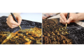 Creative DIY Gifts Scraping Paintings. 