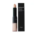 The Face Shop Concealer Dual Veil ex. 