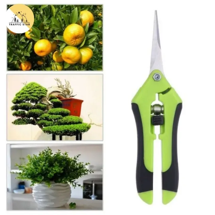 Scissors%20for%20cutting%20branches%20%E1%80%A1%E1%80%95%E1%80%84%E1%80%BA%E1%80%8A%E1%80%BE%E1%80%95%E1%80%BA%E1%80%80%E1%80%90%E1%80%BA%E1%80%80%E1%80%BC%E1%80%B1%E1%80%B8%20-%20Image%202