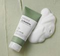 Bring Green artemisia ph balance cleansing foam 250ml. 