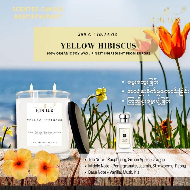 ION LUX Scented candles ~ Yellow Hibiscus ~ 300g/10.14Oz
