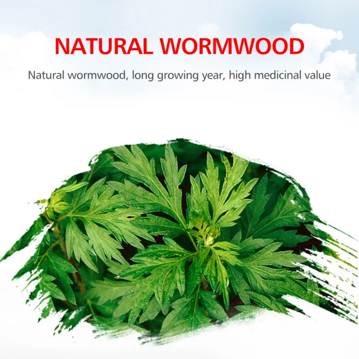 (Preorder)%20Cofoe%2010pcs%20Natural%20Moxa%20Cones,%20Sterilized%20Pure%20Moxa%20Roll%20Chinese%20Fume%20Therapy%20-%20Image%202