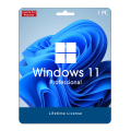 Windows 11 Pro License. 