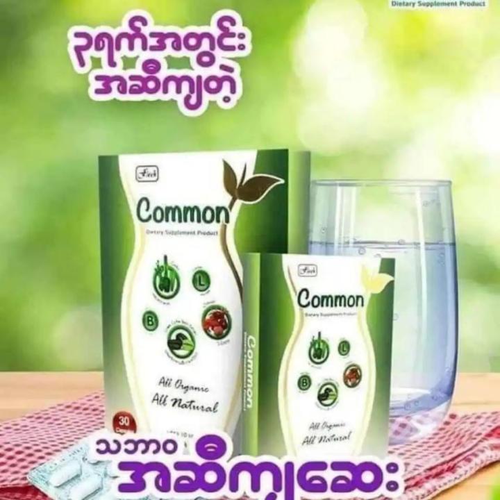 Common%20%E1%80%A1%E1%80%86%E1%80%AE%E1%80%80%E1%80%BB%E1%80%97%E1%80%AD%E1%80%AF%E1%80%80%E1%80%BA%E1%80%81%E1%80%BB%E1%80%95%E1%80%BA%20%E1%80%96%E1%80%BC%E1%80%8A%E1%80%B7%E1%80%BA%E1%80%85%E1%80%BD%E1%80%80%E1%80%BA%E1%80%85%E1%80%AC%20(%E1%81%83%E1%81%80%E1%80%9C%E1%80%AF%E1%80%B6%E1%80%B8)%20-%20Image%202