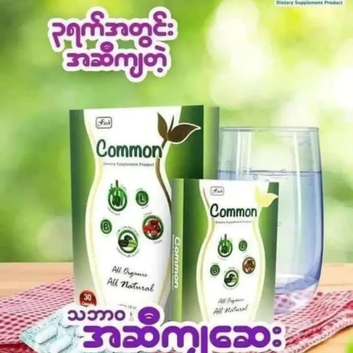 Common%20%E1%80%A1%E1%80%86%E1%80%AE%E1%80%80%E1%80%BB%E1%80%97%E1%80%AD%E1%80%AF%E1%80%80%E1%80%BA%E1%80%81%E1%80%BB%E1%80%95%E1%80%BA%20%E1%80%96%E1%80%BC%E1%80%8A%E1%80%B7%E1%80%BA%E1%80%85%E1%80%BD%E1%80%80%E1%80%BA%E1%80%85%E1%80%AC%20(%E1%81%83%E1%81%80%E1%80%9C%E1%80%AF%E1%80%B6%E1%80%B8)%20-%20Image%202