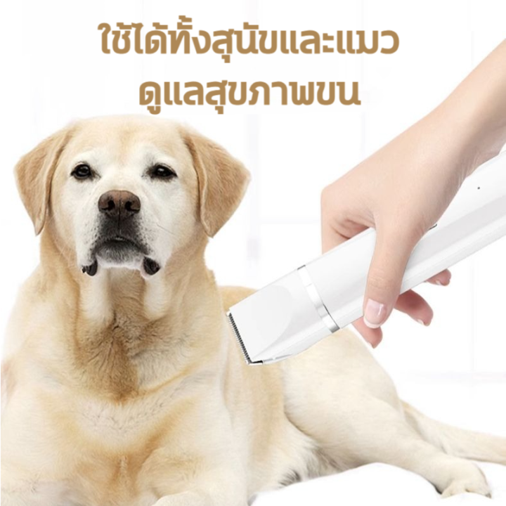 (Preorder)%20Upgrade%204%20in%201%20Dog%20hair%20clipper%20Dog%20and%20cat%20hair%20clipper%20Wireless%20It's%20like%20getting%204%20devices%20at%20the%20same%20time%20Gentle,%20low%20noise%20Dog%20hair%20clipper%20Cat%20hair%20clipper%20Dog%20hair%20clipper%20Dog%20hair%20clipper%20Dog%20hair%20cutting%20equipment%20Can%20shave%20the%20whole%20-%20Image%208