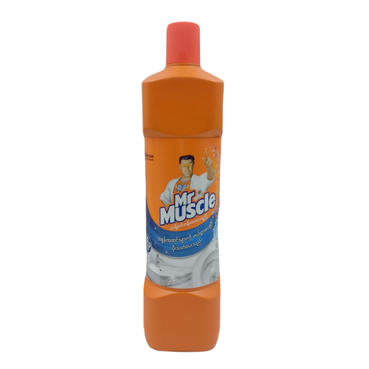 Mr Muscle Bathroom Cleaner 900g