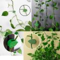 Plant Climbing Wall Fixture Clips Self-Adhesive Plant Fixer Invisible Leaf Shaped Wall Vines Fixing Clips Hook Plant Vine Traction for Home Decoration and Cable Wire Fixing. 