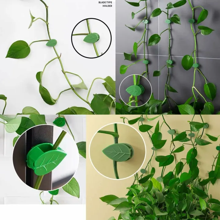 Plant%20Climbing%20Wall%20Fixture%20Clips%20Self-Adhesive%20Plant%20Fixer%20Invisible%20Leaf%20Shaped%20Wall%20Vines%20Fixing%20Clips%20Hook%20Plant%20Vine%20Traction%20for%20Home%20Decoration%20and%20Cable%20Wire%20Fixing%20-%20Image%207