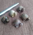 Fossil wood  turtles small size 5 pc  , အင်ကြင်းကျောက် လိပ် အသေး ၅ ကောင်၊. 