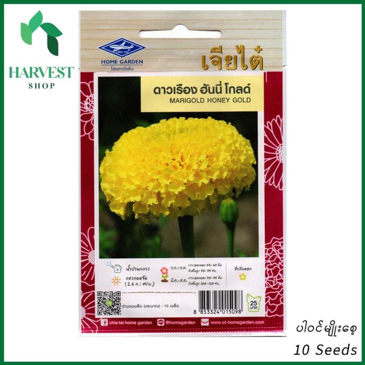 ထပ်တစ်ရာပန်းပင်မျိုးစေ့ (Marigold Honey Gold Seeds)
