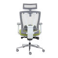 (Preorder) Ergotrend Health Chair, Ergotrend, Model ERGO-X GREEN, Green. 