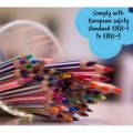 STABILO Swans Premium Edition Color Pencil Set 3.8 MM Thick Lead - 24 Pcs. 