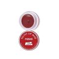 novo Velvet Lip Mud no.58 Maroon. 