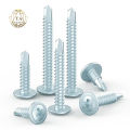 ကြယ်သီးကာဗိုက်စကူ Cross Recessed Wafer Head Self Drilling Screw. 