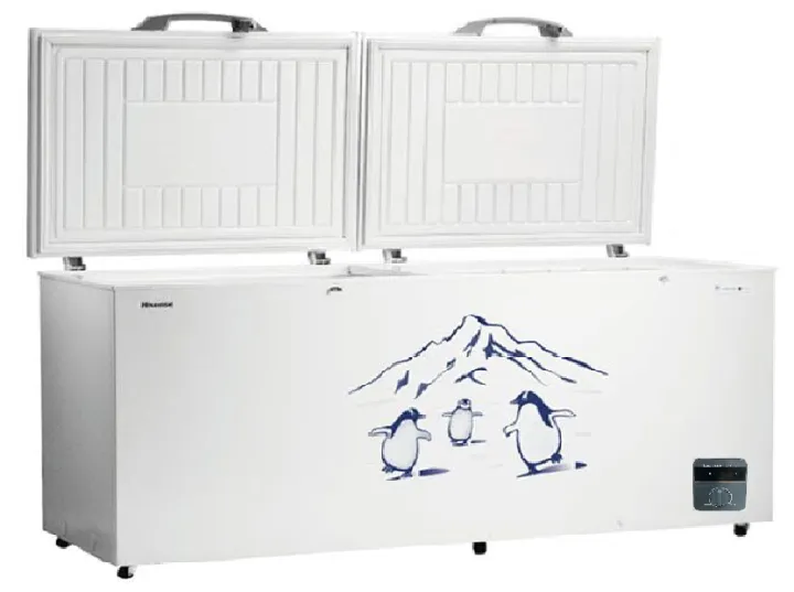 Hisense%20Freezer%20FC-65DD4SA%20(500%20liters)%20-%20Image%202