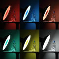 (Preorder) 42cm 17" or 55cm 22" Diffuser Filter Cloth with 6 Colors White Clear Yellow Green Blue Brown. 