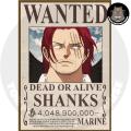 One Piece Wanted Poster. 