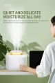 3.3L A12 humidifier household large-capacity humidification dual nozzle cool color night light. 