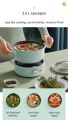 Bear - Multifunction Electric Cooking Pot Electric Caldron Mint Green (without steamer). 