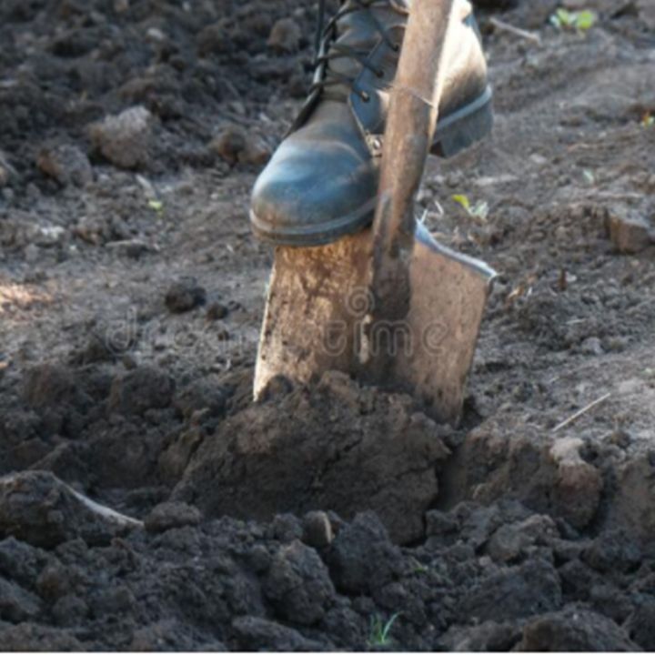 Garden%20Shovel%20-%20Heavy%20Duty%20Metal%20Steel%20Round%20Shovel%201%20Pcs%20-%20Image%207