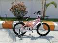 Bike for Kids with Training Wheel & Basket (16 Inches) Freestyle Bicycle. 