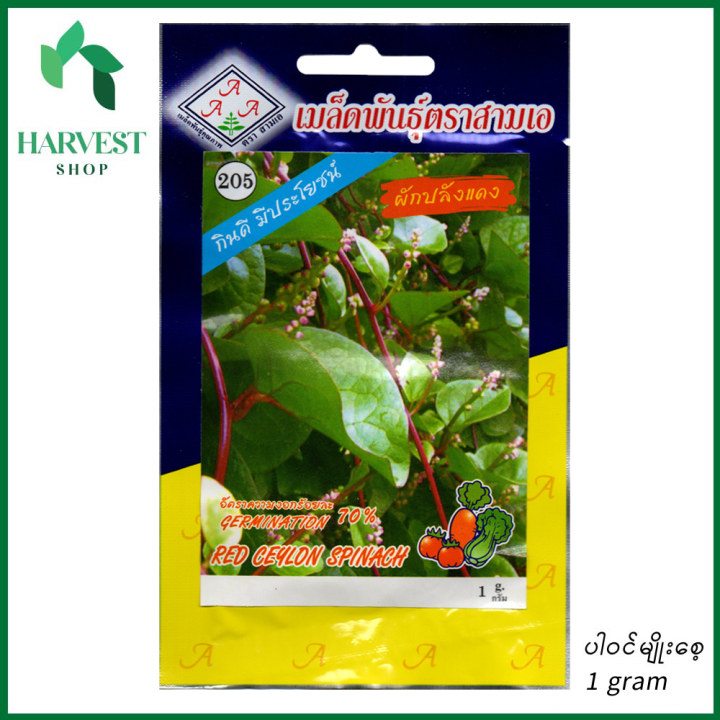 အနီရောင်ဂင်ပိတ်ရွက်မျိုးစေ့ (Red Ceylon Spinach Seeds)