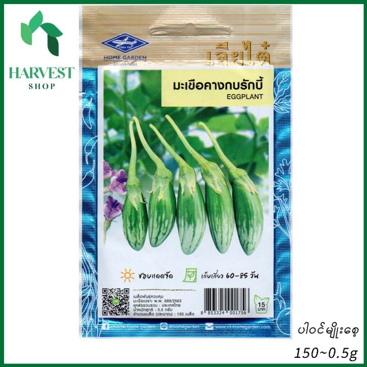 ခရမ်းကြားသီး(သံတွဲခရမ်း)ပင်မျိုးစေ့ (Eggplant Seeds)