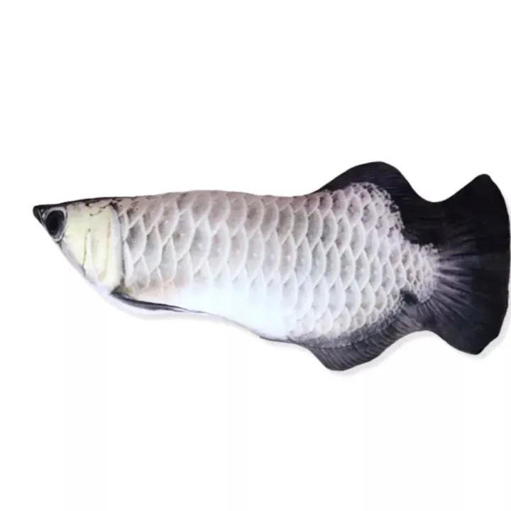 Pet%20toy(%E1%80%80%E1%80%BC%E1%80%B1%E1%80%AC%E1%80%84%E1%80%BA%E1%80%86%E1%80%B1%E1%80%B8%E1%80%95%E1%80%84%E1%80%BA%E1%80%84%E1%80%AB%E1%80%B8%E1%80%9B%E1%80%AF%E1%80%95%E1%80%BA)%20-%20Image%202