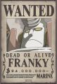 One Piece Wanted Poster. 
