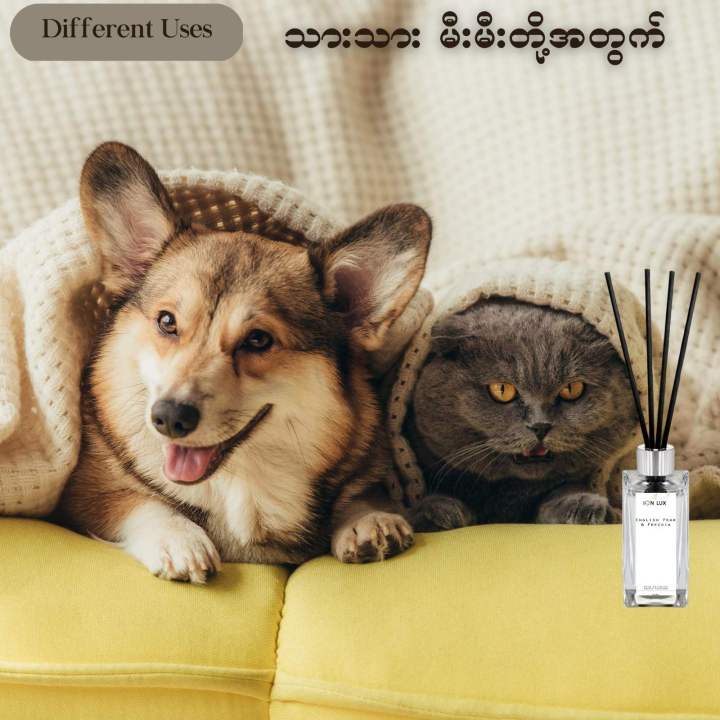 50Ml%20Reed%20Diffuser%20~%20Orange%20&%20Ginger%20-%20Image%208