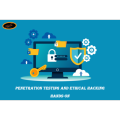 Penetration Testing and Ethical Hacking Hands-on Learning DVD (ISO) Soft Copy. 