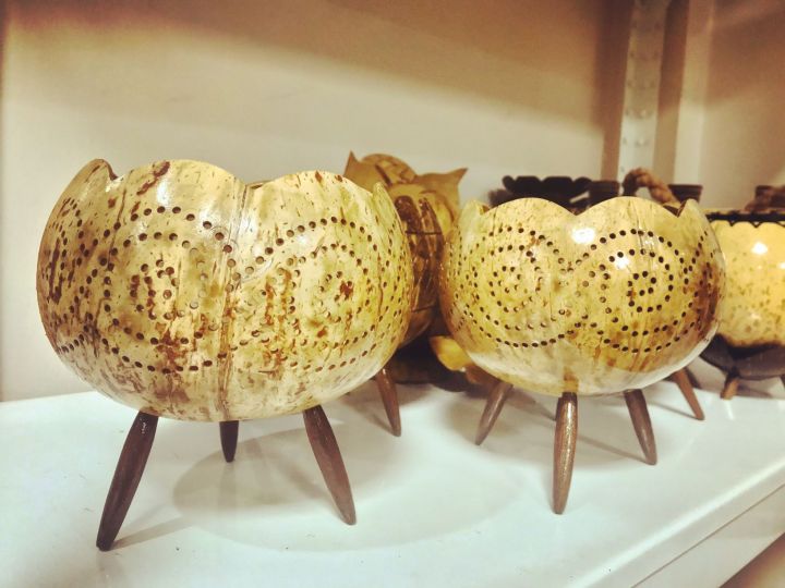 Coconut%20Shell%20Planter%20-%20Image%206