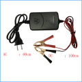 12V1A lead-acid battery charger. 