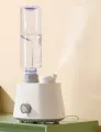 Mineral Water Bottle Air Humidifier Portable Desktop Aroma Diffuser Cool Mist. 