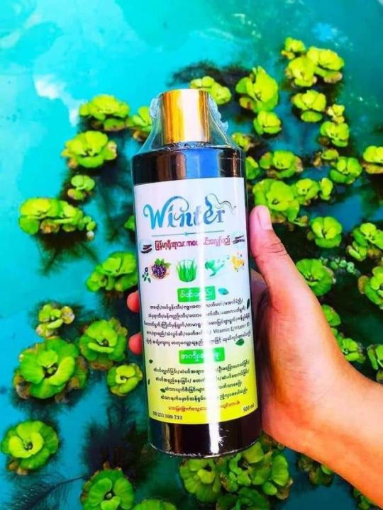 တရော်ကင်ပွန်း ခေါင်းလျှော်ရည် (Ta Yaw Kin Pun Shampoo) (100ဘူး)