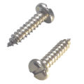 10 x ⁵/₈" (#M4.8 x 16mm) ခေါင်းလုံးအနှုတ်စကူ High Quality Slotted Pan Head Self Tapping Screw (Stock Limited). 