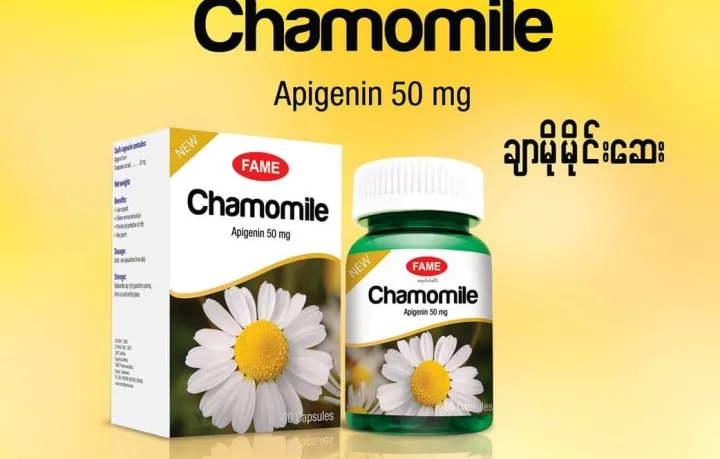 Fame%20Bundle%20,%20%E1%80%A1%E1%80%9E%E1%80%8A%E1%80%BA%E1%80%B8%E1%80%81%E1%80%BC%E1%80%B1%E1%80%AC%E1%80%80%E1%80%BA%E1%80%81%E1%80%BC%E1%80%84%E1%80%BA%E1%80%B8%E1%80%80%E1%80%AD%E1%80%AF%20%E1%80%80%E1%80%AF%E1%80%9E%E1%80%9B%E1%80%AC%E1%80%90%E1%80%BD%E1%80%84%E1%80%BA%20%E1%80%90%E1%80%BD%E1%80%B2%E1%80%96%E1%80%80%E1%80%BA%E1%80%9E%E1%80%B1%E1%80%AC%E1%80%80%E1%80%BA%E1%80%9E%E1%80%AF%E1%80%B6%E1%80%B8%E1%80%94%E1%80%AD%E1%80%AF%E1%80%84%E1%80%BA%E1%80%9E%E1%80%B1%E1%80%AC%20Fame%20%E1%80%86%E1%80%B1%E1%80%B8%E1%80%99%E1%80%BB%E1%80%AC%E1%80%B8%20,%20%E1%80%A1%E1%80%9E%E1%80%8A%E1%80%BA%E1%80%B8%E1%80%86%E1%80%B1%E1%80%B8+%E1%80%81%E1%80%99%E1%80%BA%E1%80%99%E1%80%AD%E1%80%AF%E1%80%99%E1%80%AD%E1%80%AF%E1%80%84%E1%80%BA%E1%80%86%E1%80%B1%E1%80%B8+%E1%80%86%E1%80%9A%E1%80%BA%E1%80%95%E1%80%84%E1%80%BA%E1%80%A1%E1%80%AC%E1%80%B8%E1%80%86%E1%80%B1%E1%80%B8+%E1%80%9B%E1%80%BE%E1%80%AE%E1%80%95%E1%80%92%E1%80%AE%E1%80%B8%20-%20Image%204