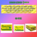 MYBACIN® LOZENGES  MINT-1pcs, medicine and health care, traditional medicine. 