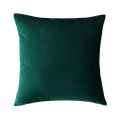 Flannel Pillow More Colors Cushion. 
