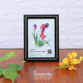 Quality Frames for Precious Memories, 5x7 Size Photo Frame, A 890 (black). 