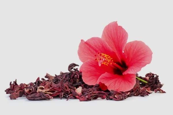 Dried%20Hibiscus%20(Ghanti)%20Flower%2070%20gm%20-%20Image%204