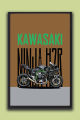 Kawasaki Ninja H2R Superbike Wall Art Frame| One Piece Frame. 