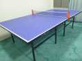 Double Fish Table Tennis ( Pingpong) Board Nonwheeled Foldable By Mitrata(blue). 