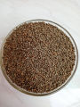 Silam Seeds (Perilla Seeds) -100gm. 