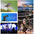Apexel HD 20-40X Zoom Telescope Lens with Tripod Monocular Telephoto Phone Camera Lens for IPho-ne Hua-wei All Smartphones Camping. 